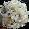 DSCF0223 (2)